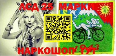 тгк Бердск