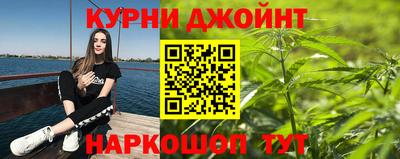 тгк Бердск