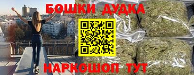 тгк Бердск