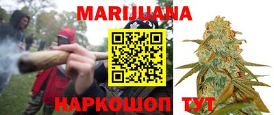тгк Бердск