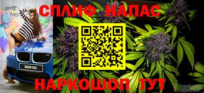 тгк Бердск