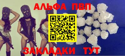 тгк Бердск