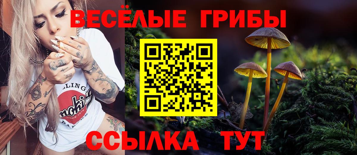 Галлюциногенные грибы мицелий  Вход с VPN  Вольск 