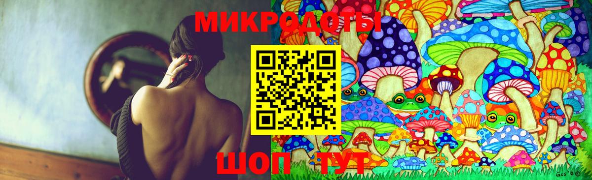 Псилоцибиновые грибы Cubensis Вольск